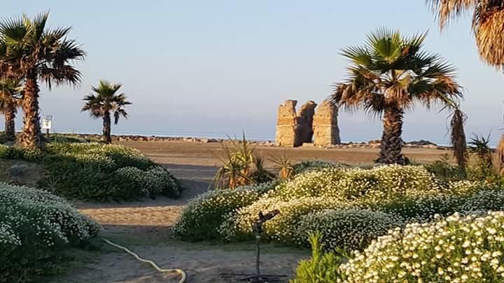 לדיספולי Villa Elegance מראה חיצוני תמונה